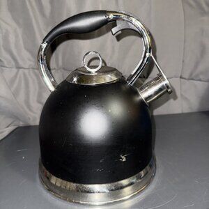 Cast Iron Teapot Sotya Tetsubin Japanese Tea Kettle 900ml Black Silver